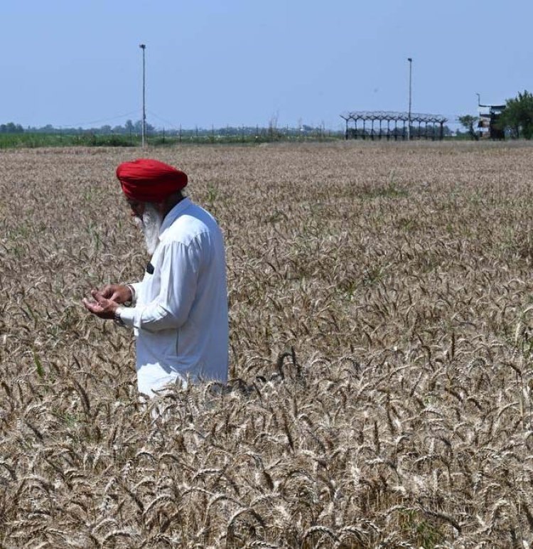 आजाद होगी पंजाब के किसानों की 21 हजार एकड़ जमीन! भारत-पाक सीमा पर कंटीली बाड़ शिफ्ट करेगी सरकार