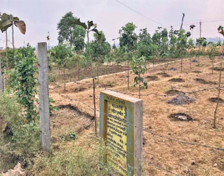 नरहरपुर-टूरी व्यपवर्तन योजना के मरम्मत कार्य के लिए 14.11 करोड़ की मिली पुनरीक्षित स्वीकृति