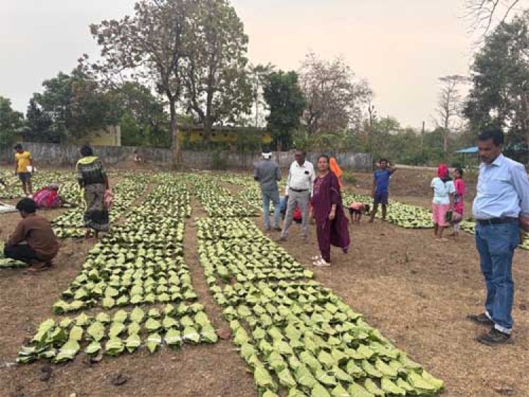 हरा सोना संग्राहकों की आय बढ़ाने की दिशा में बड़ा कदम