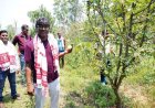 जशपुर के किसान खेती में बना रहे हैं अलग पहचान