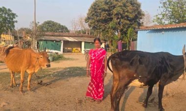 दुग्ध उत्पादन से कमला बनीं ‘लखपति दीदी’, सालाना 1.5 लाख की शुद्ध बचत