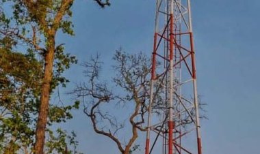 अबूझमाड़ के जंगलों में बजी मोबाइल की घंटी : डिजिटल युग में प्रवेश करता 'रायनार'