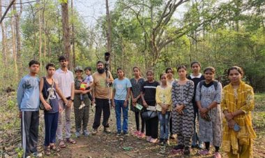 बारनवापारा के देवपुर जंगल में दिखी दुर्लभ विशाल भारतीय गिलहरी