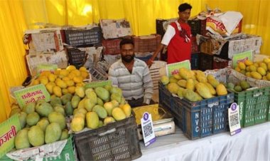 आमों की सुगंध और स्वाद से सराबोर हुआ रायपुर