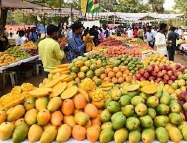 कृषि विश्वविद्यालय में अगले तीन दिनों तक बिखरी रहेगी आमों की बहार