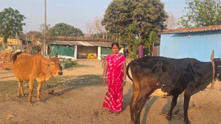दुग्ध उत्पादन से कमला बनीं ‘लखपति दीदी’, सालाना 1.5 लाख की शुद्ध बचत