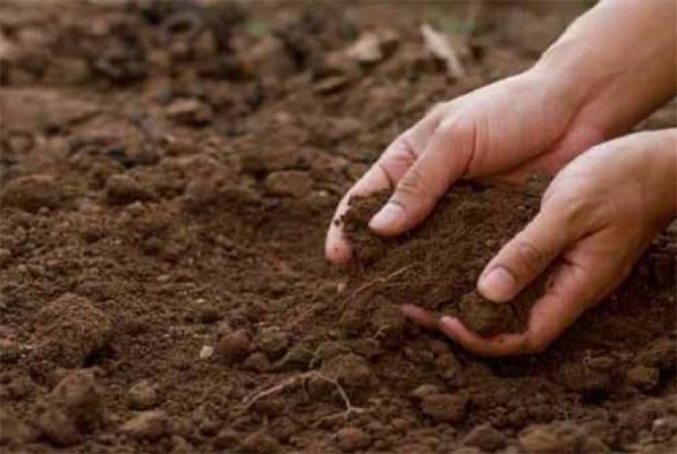 मिट्टी परीक्षण और संतुलित उर्वरक के उपयोग से किसानों को मिलेगा अधिक लाभ