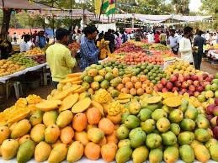 कृषि विश्वविद्यालय में अगले तीन दिनों तक बिखरी रहेगी आमों की बहार