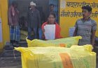खरीफ सीजन से पहले किसानों को समय पर मिल रहा खाद, प्रदेशभर में सुचारू वितरण व्यवस्था