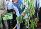 मुख्यमंत्री विष्णुदेव साय ने खिलाड़ियों का बढ़ाया उत्साह: 2036 पौधों के रोपण से ओलंपिक मेजबानी के संकल्प को दी नई ऊर्जा