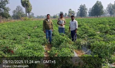 शेडनेट हाउस ने बदली किसान की तकदीर