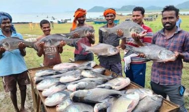 ‘नीली क्रांति’ से समृद्धि की ओर: मछली पालन बना ग्रामीण विकास, रोजगार और आत्मनिर्भरता का नया आधार