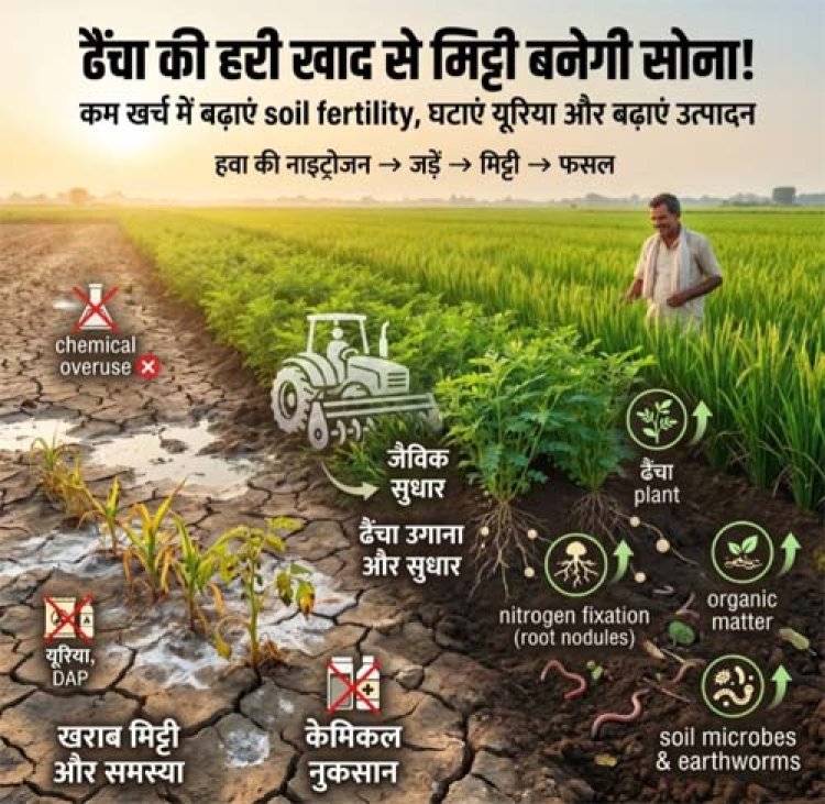 खरीफ 2026 : धान और हरी खाद के बीजों का पर्याप्त भंडारण, किसानों को समय पर मिलेगा लाभ