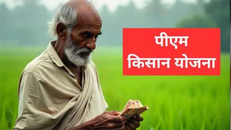 पीएम-किसान की 20वीं किस्त कल होगी जारी