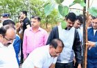 मुख्यमंत्री विष्णु देव साय ने एक पेड़ माँ के नाम अभियान के तहत किया पौधारोपण