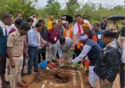 जैव विविधता पार्क कांकेर के माकड़ी में औषधिय पौधों का रोपण- पारंपरिक चिकित्सा को बढ़ावा देने की नई पहल