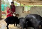 एक फैसला, छोटी शुरुआत और बदल गई तकदीर