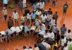 मड़वा घाटी सड़क निर्माण की मांग तेज, सैकड़ों ग्रामीणों के साथ सड़क पर हुई धान रोपाई