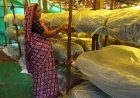 मशरूम उत्पादन से बदली जिंदगी: बिहान ने पुष्पा साव को बनाया आत्मनिर्भर