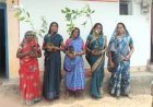 मुख्यमंत्री विष्णुदेव साय के नेतृत्व में पर्यावरण संरक्षण को जनआंदोलन बनाने की अभिनव पहल