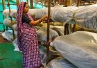 मुख्यमंत्री विष्णुदेव साय के नेतृत्व में ग्रामीण महिलाओं की आत्मनिर्भरता को मिल रही नई उड़ान