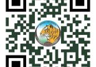 अंतरराष्ट्रीय बाघ दिवस पर होगा 'रन फॉर इंद्रावती' मैराथन का आयोजन