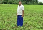 धान से आगे बढ़कर सन की खेती अपनाने वाले किसान सुखदेव सिदार बने फसल विविधीकरण की मिसाल