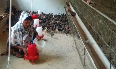 सफलता की नई उड़ान : पारंपरिक मजबूरी से 'लखपति दीदी' बनने तक का सफर