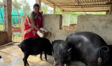 एक फैसला, छोटी शुरुआत और बदल गई तकदीर