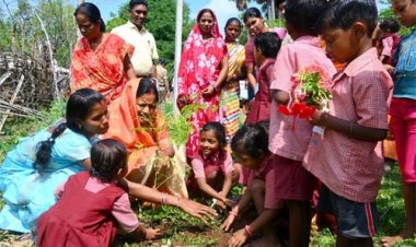 हर-घर मुनगा, घर-घर सुपोषण : कुपोषण मुक्त छत्तीसगढ़ के लिए जनआंदोलन बन रहा मुनगा पौधारोपण अभियान