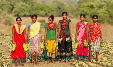 सुकमा के तेंदूपत्ता संग्राहकों को बड़ी राहतरू 42 हजार से अधिक परिवारों के खातों में पहुंचे 40.72 करोड़ रूपए DBT से हुआ पारदर्शी भुगतान