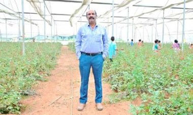 गुलाब की खुशबू से महकी किसान विकास कुमार की किस्मत