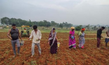 कम लागत में बेहतर आय : मूंग की उन्नत किस्म GAM-5 से बदलेगी क्षेत्र के किसानों की तकदीर