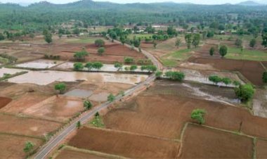 प्रधानमंत्री जनमन योजना से वनांचल ग्राम छिंदपुर में बनी पक्की सड़क, ग्रामीणों की राह हुई आसान