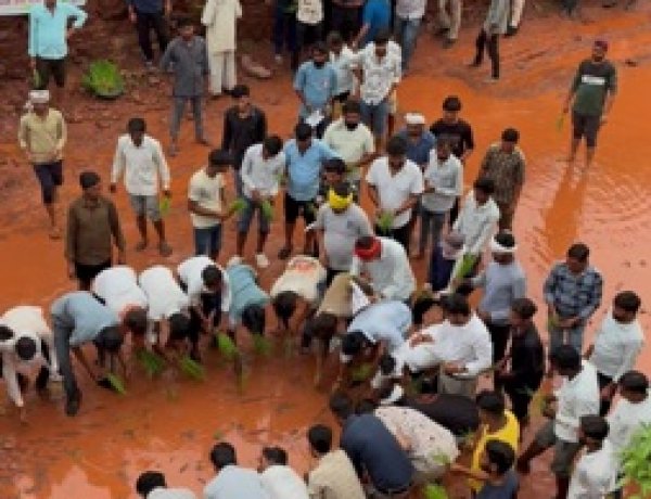मड़वा घाटी सड़क निर्माण की मांग तेज, सैकड़ों ग्रामीणों के साथ सड़क पर हुई धान रोपाई