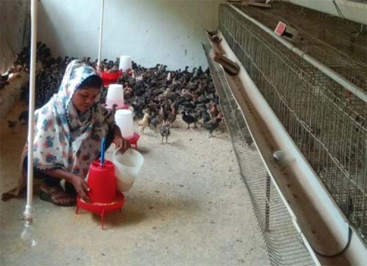 सफलता की नई उड़ान : पारंपरिक मजबूरी से 'लखपति दीदी' बनने तक का सफर