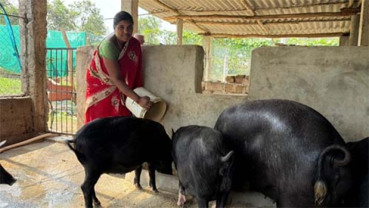 एक फैसला, छोटी शुरुआत और बदल गई तकदीर