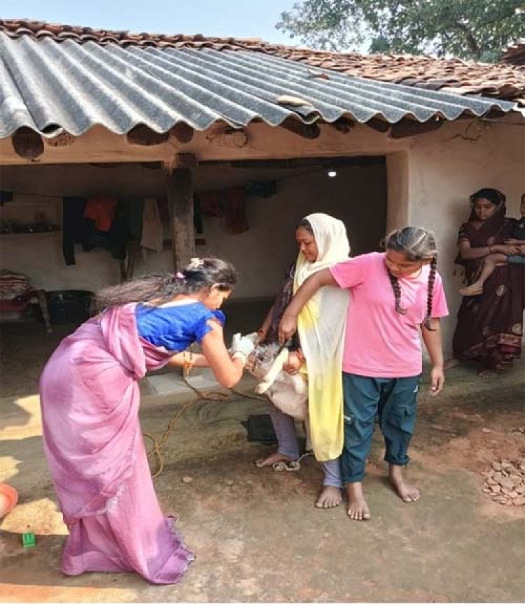 बिहान ने बदली ललिता की तकदीर: 26 हजार के ऋण से शुरू हुआ सफर, आज हर माह 26 हजार की आय