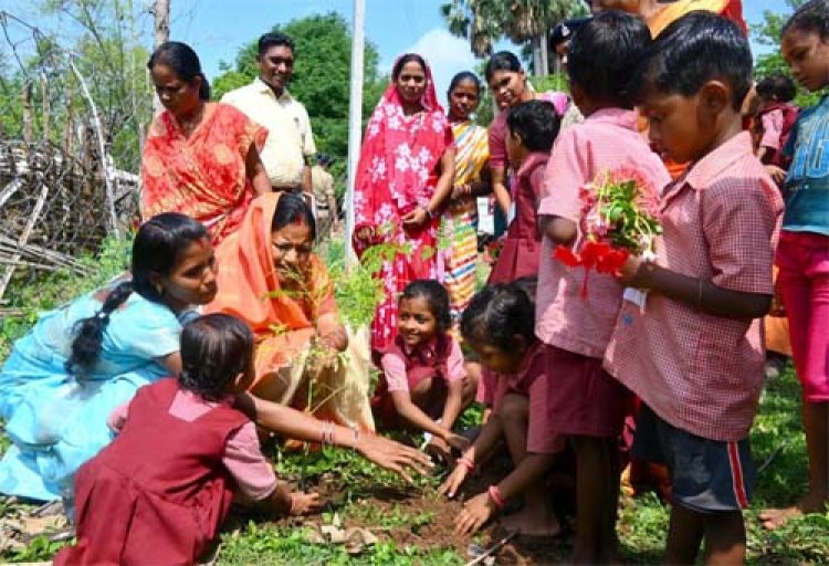 हर-घर मुनगा, घर-घर सुपोषण : कुपोषण मुक्त छत्तीसगढ़ के लिए जनआंदोलन बन रहा मुनगा पौधारोपण अभियान