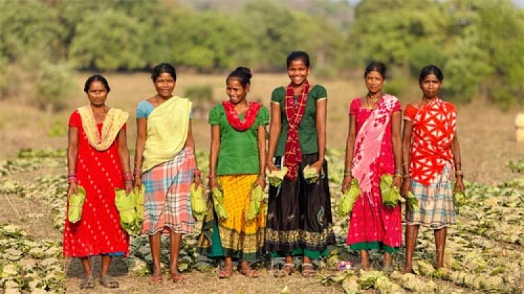 सुकमा के तेंदूपत्ता संग्राहकों को बड़ी राहतरू 42 हजार से अधिक परिवारों के खातों में पहुंचे 40.72 करोड़ रूपए DBT से हुआ पारदर्शी भुगतान
