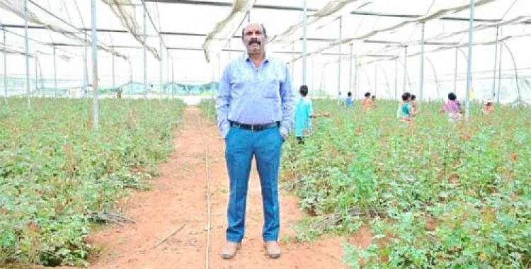 गुलाब की खुशबू से महकी किसान विकास कुमार की किस्मत