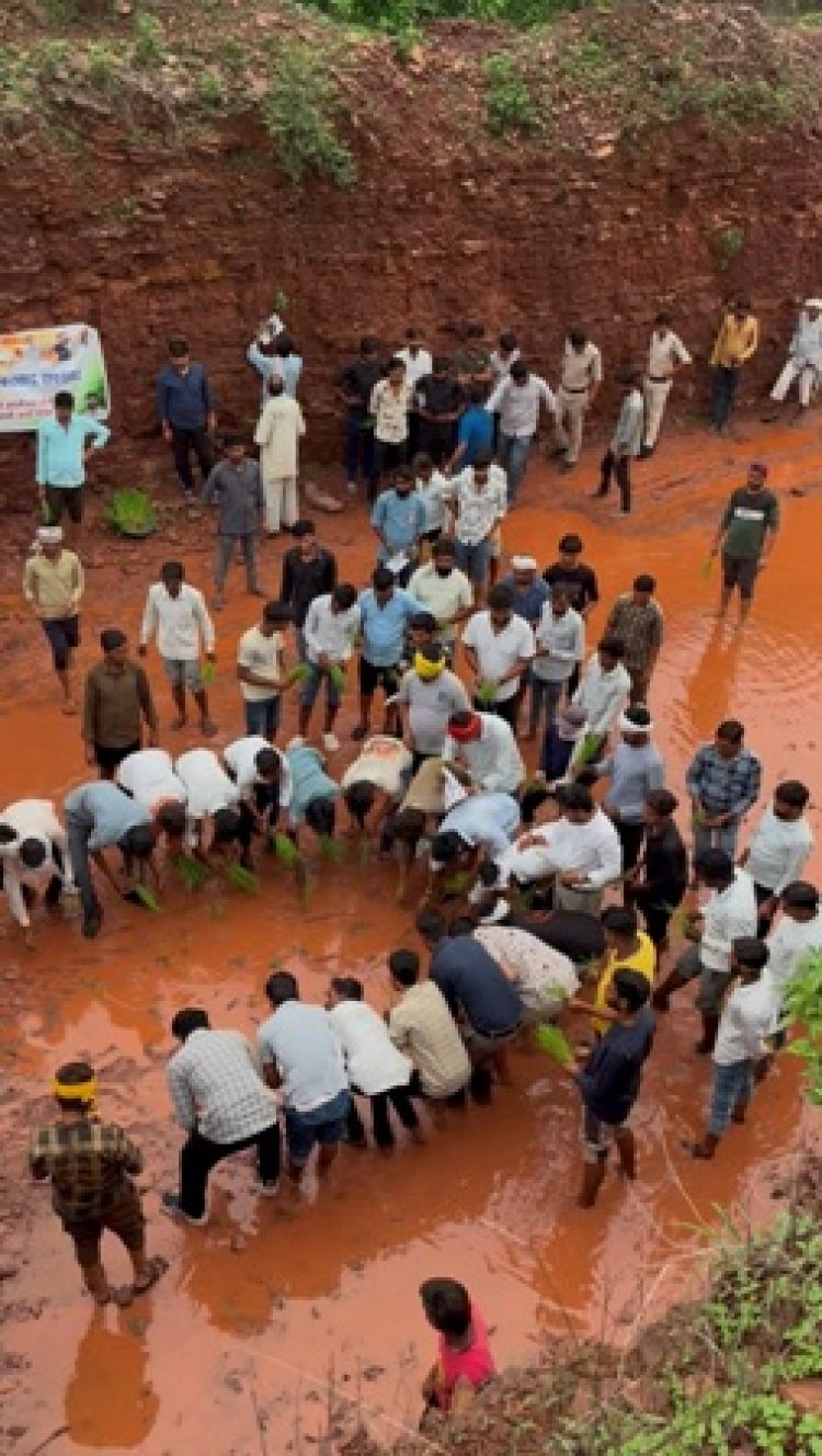 मड़वा घाटी सड़क निर्माण की मांग तेज, सैकड़ों ग्रामीणों के साथ सड़क पर हुई धान रोपाई