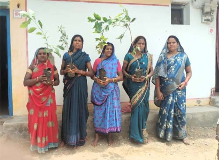 मुख्यमंत्री विष्णुदेव साय के नेतृत्व में पर्यावरण संरक्षण को जनआंदोलन बनाने की अभिनव पहल