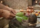 सावन सोमवार और शिवरात्रि पर ही क्यों करते हैं कांवड़िए जलाभिषेक? जानिए क्या है धार्मिक और पौराणिक महत्व