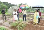 कलेक्टर ने कोपाबेड़ा स्थित मत्स्य बीज प्रक्षेत्र और शासकीय उद्यान रोपणी का किया निरीक्षण
