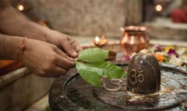 सावन सोमवार और शिवरात्रि पर ही क्यों करते हैं कांवड़िए जलाभिषेक? जानिए क्या है धार्मिक और पौराणिक महत्व