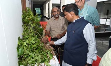 औषधि पौधों की खेती किसानों की आय बढ़ाने का प्रभावी माध्यम: वन मंत्री केदार कश्यप
