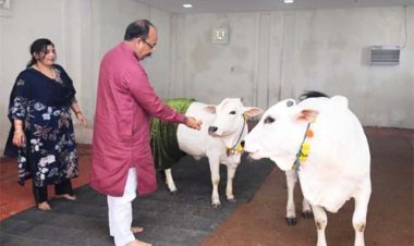 उप मुख्यमंत्री अरुण साव ने प्रदेशवासियों को दी हरेली की बधाई