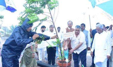 ‘एक पेड़ माँ के नाम’ अभियान से पर्यावरण संरक्षण का संदेश, मंत्री राजेश अग्रवाल ने किया वृक्षारोपण