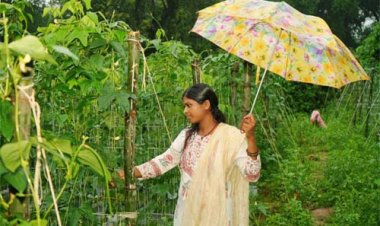 बाड़ी से निकली समृद्धि की राह, सपनों को मिली नई उड़ान